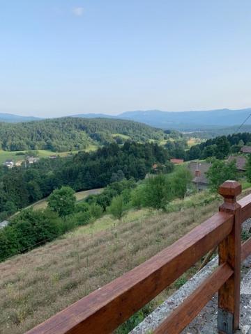 Villa Wine House, Zidanica Gruden Novo Mesto Exterior foto